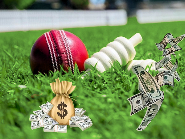 cricket bets and don't make mistakes
